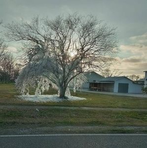 Meet your Posher, Cleto